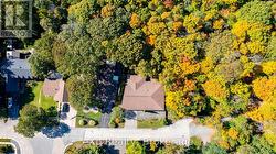 Surrounded by Forest -