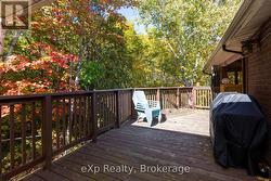 Afternoon Sun Deck Vibes -