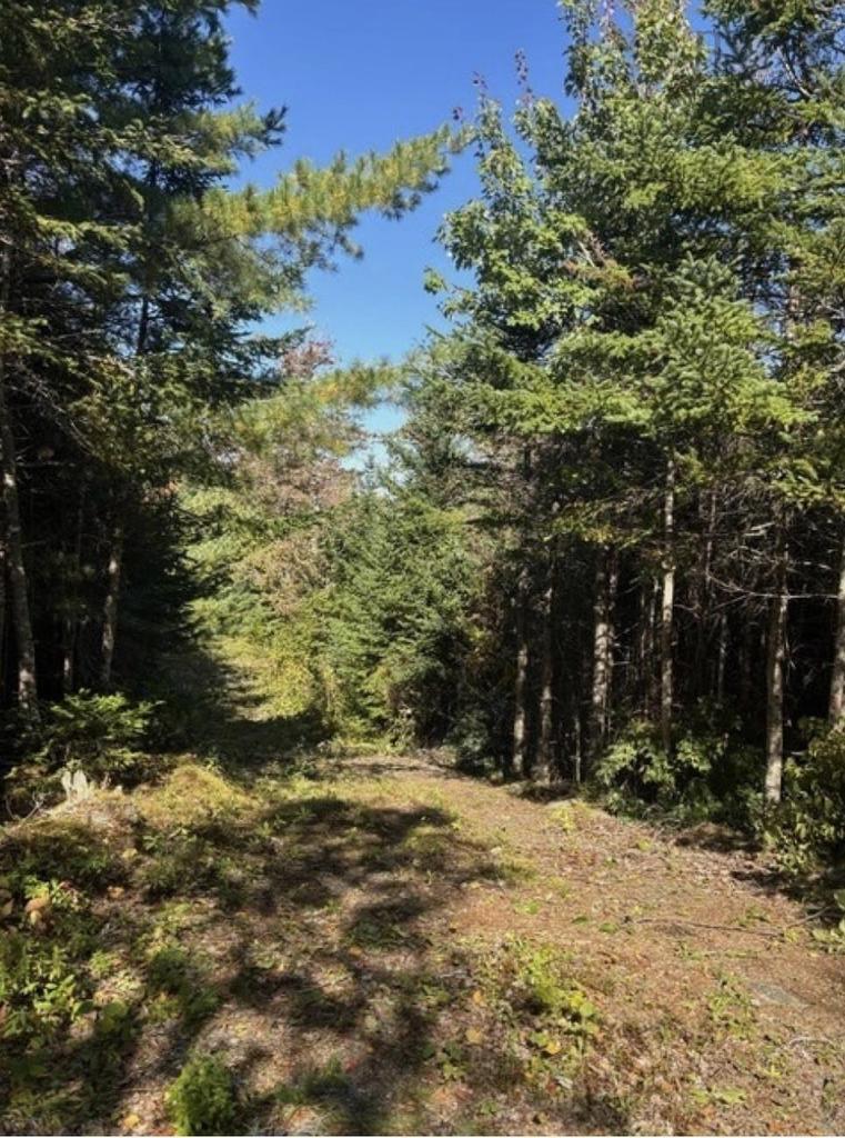 Lot 23 Anderson Drive, Goldenville, NS