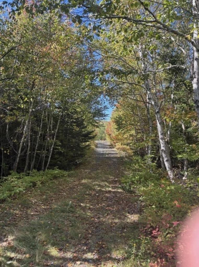 Lot 23 Anderson Drive, Goldenville, NS