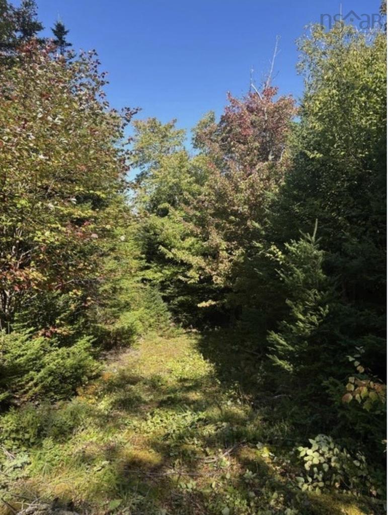 Lot 23 Anderson Drive, Goldenville, NS