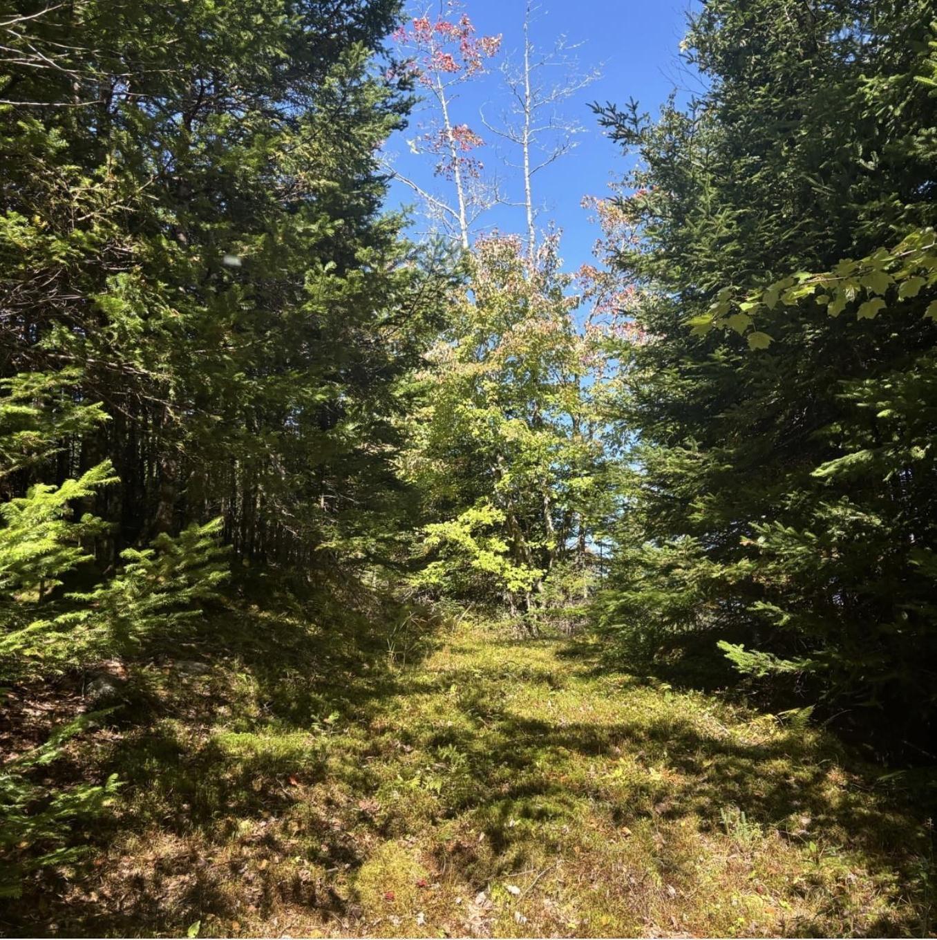 Lot 23 Anderson Drive, Goldenville, NS