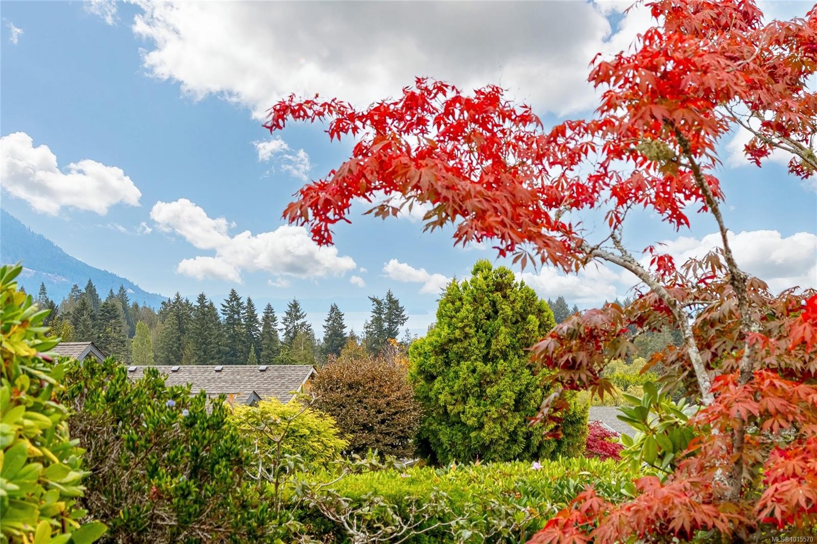 801 Country Club Dr, Cobble Hill, BC