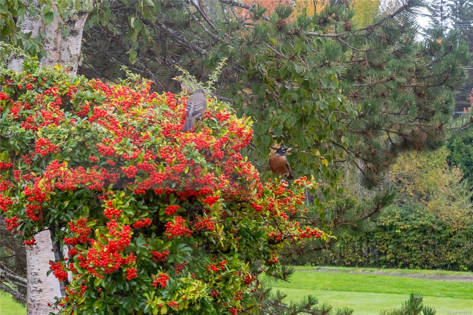 801 Country Club Dr, Cobble Hill, BC