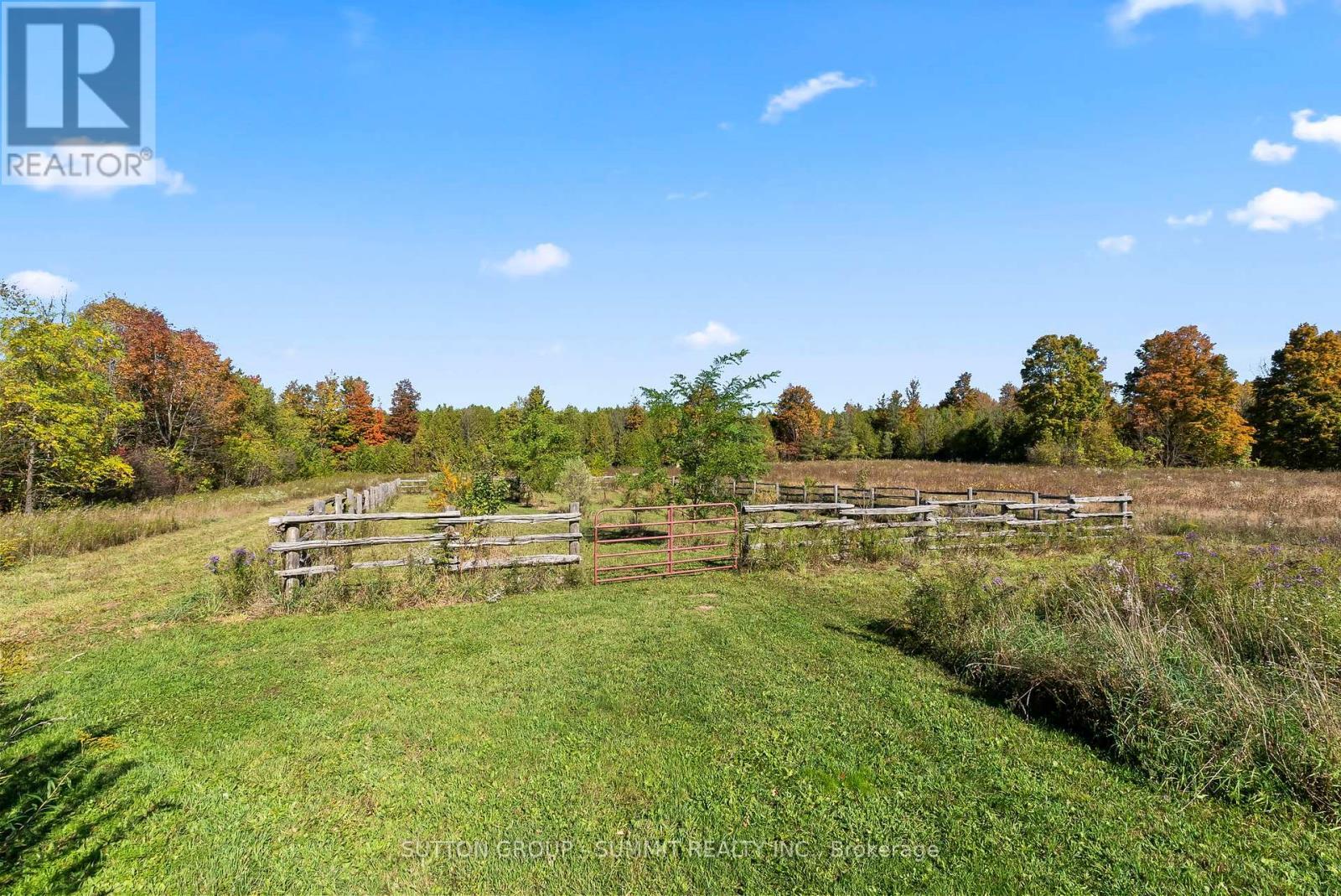 Orchard - 502349 10 Concession, West Grey, ON - Outdoor With View