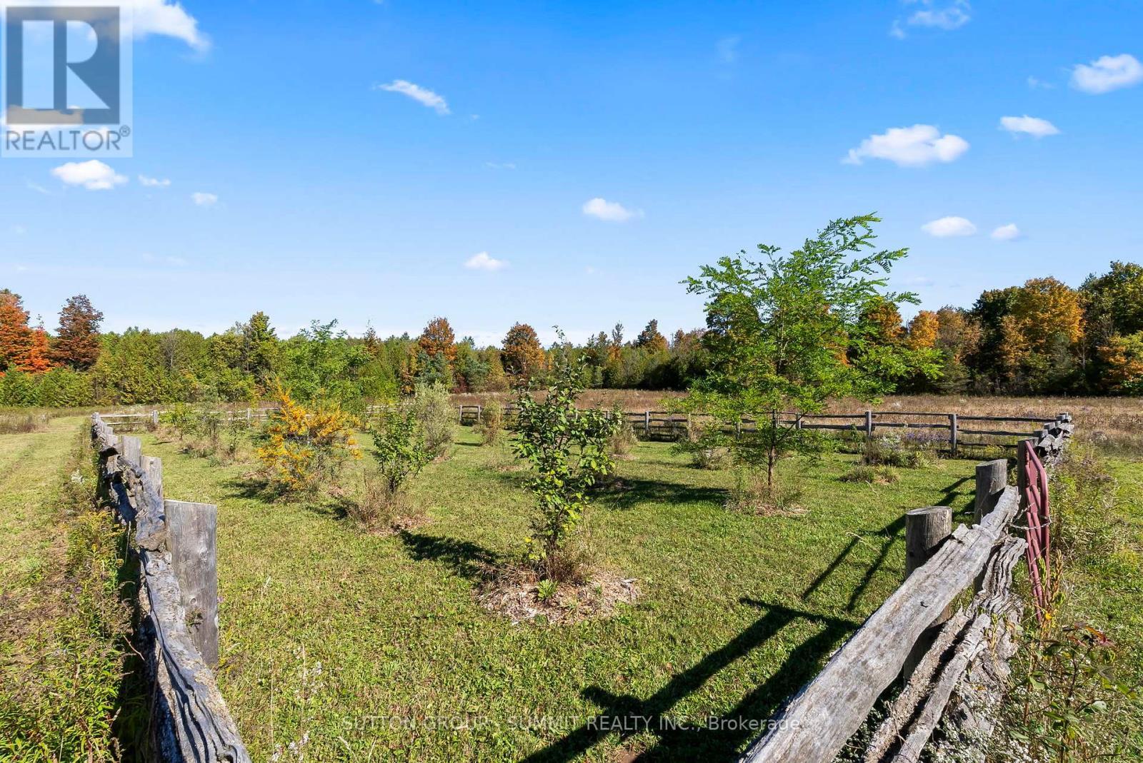 Orchard - 502349 10 Concession, West Grey, ON - Outdoor With View