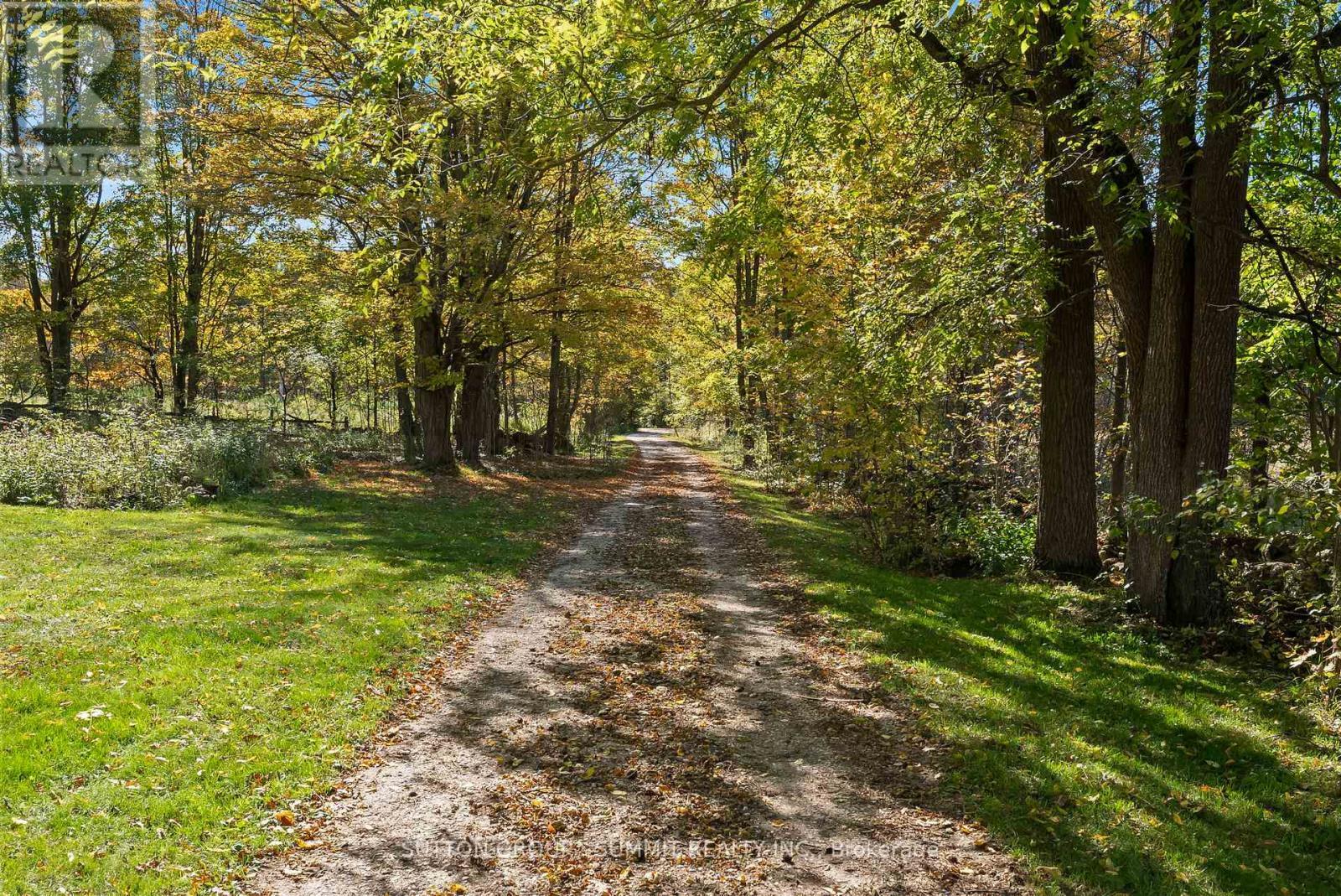 Driveway - 502349 10 Concession, West Grey, ON - Outdoor With View