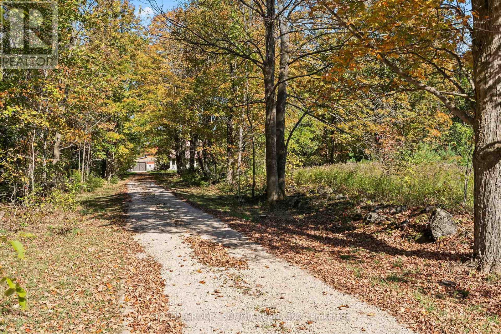 Driveway - 502349 10 Concession, West Grey, ON - Outdoor With View