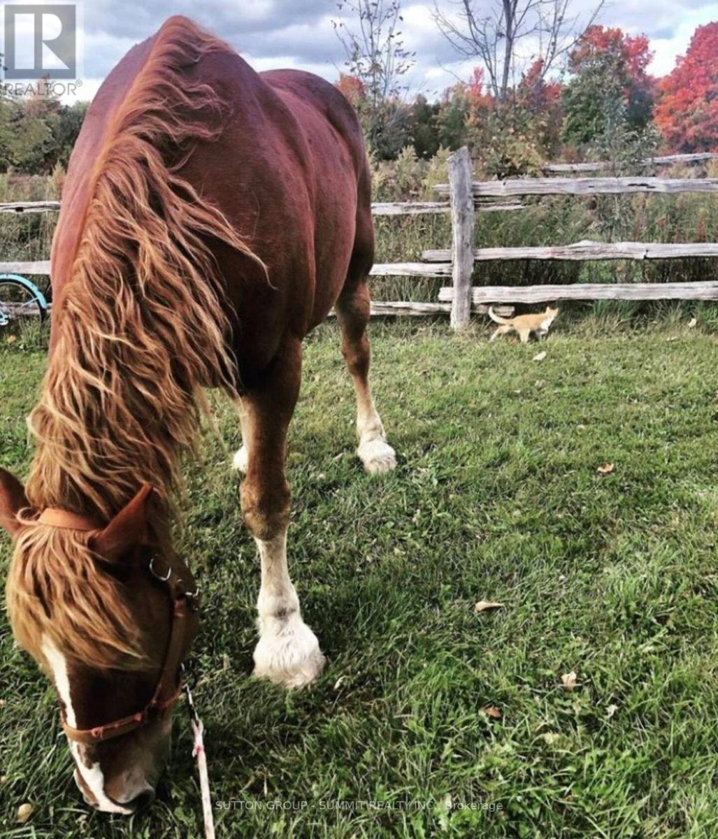 502349 10 Concession, West Grey, ON - Outdoor