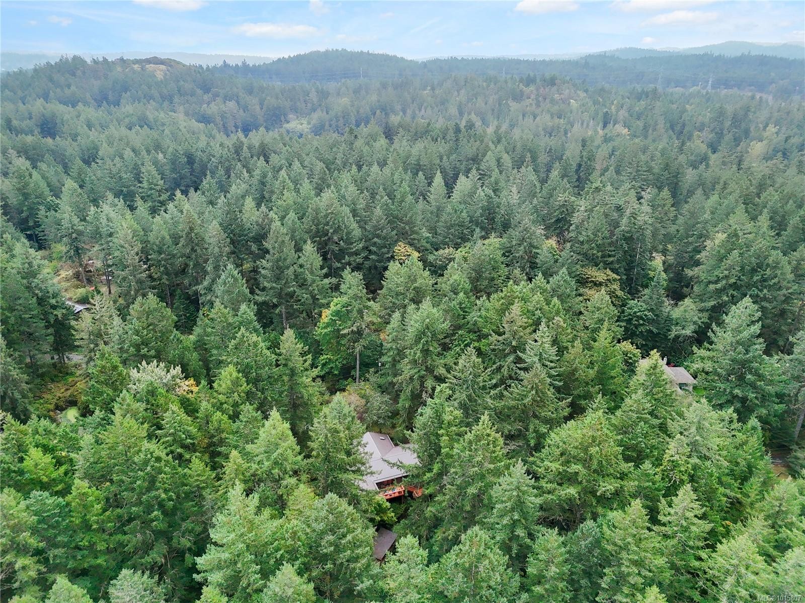 100 Viaduct Ave West, Saanich, BC