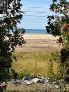 View from the primary bedroom at 329 Bay Street -