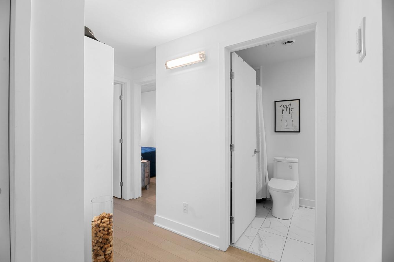 Vue d'ensemble - 1008-1700 Rue Viola-Desmond, Montréal (Lasalle), QC - Indoor Photo Showing Other Room