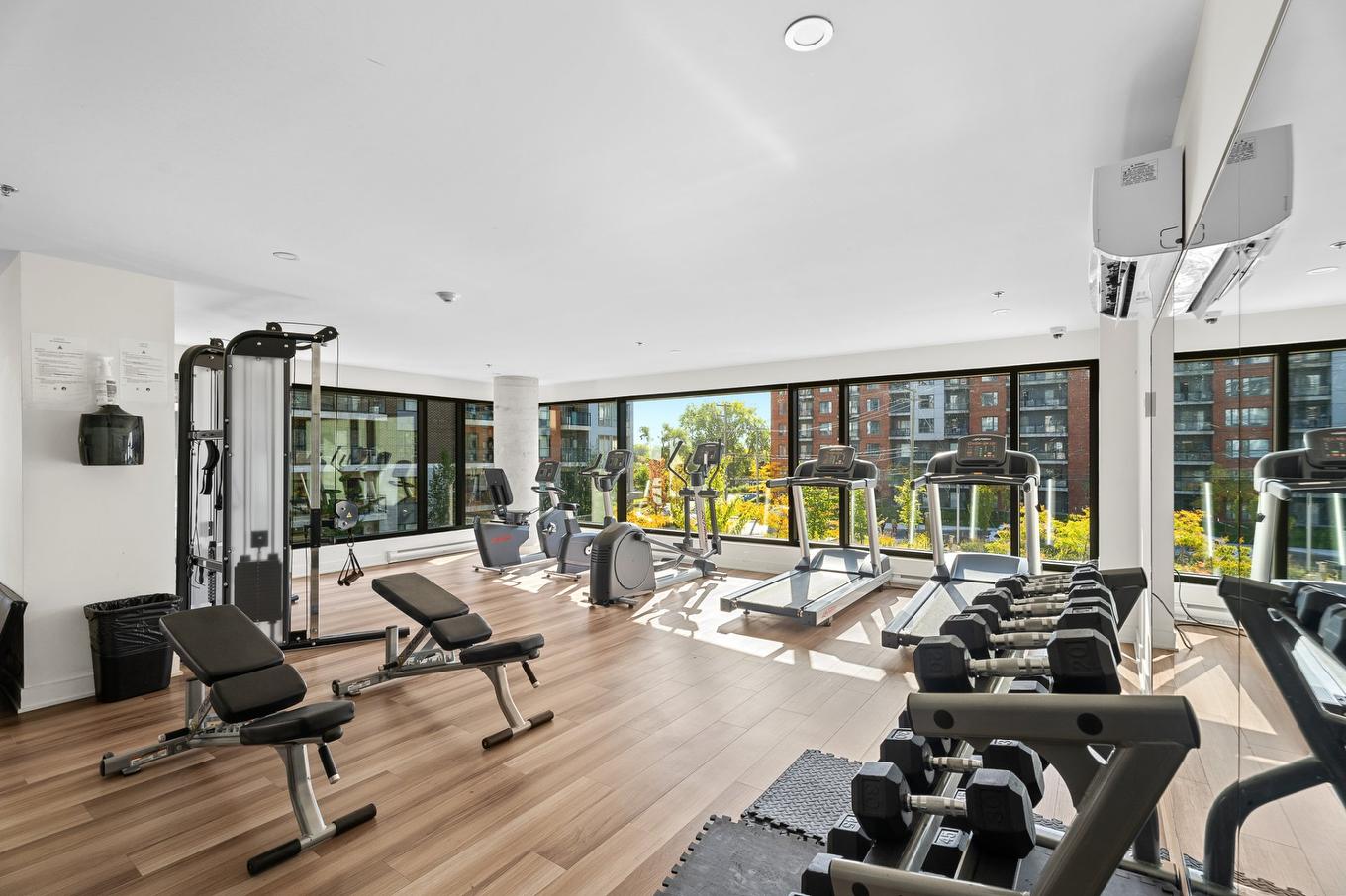 Salle d'exercice - 1008-1700 Rue Viola-Desmond, Montréal (Lasalle), QC - Indoor Photo Showing Gym Room