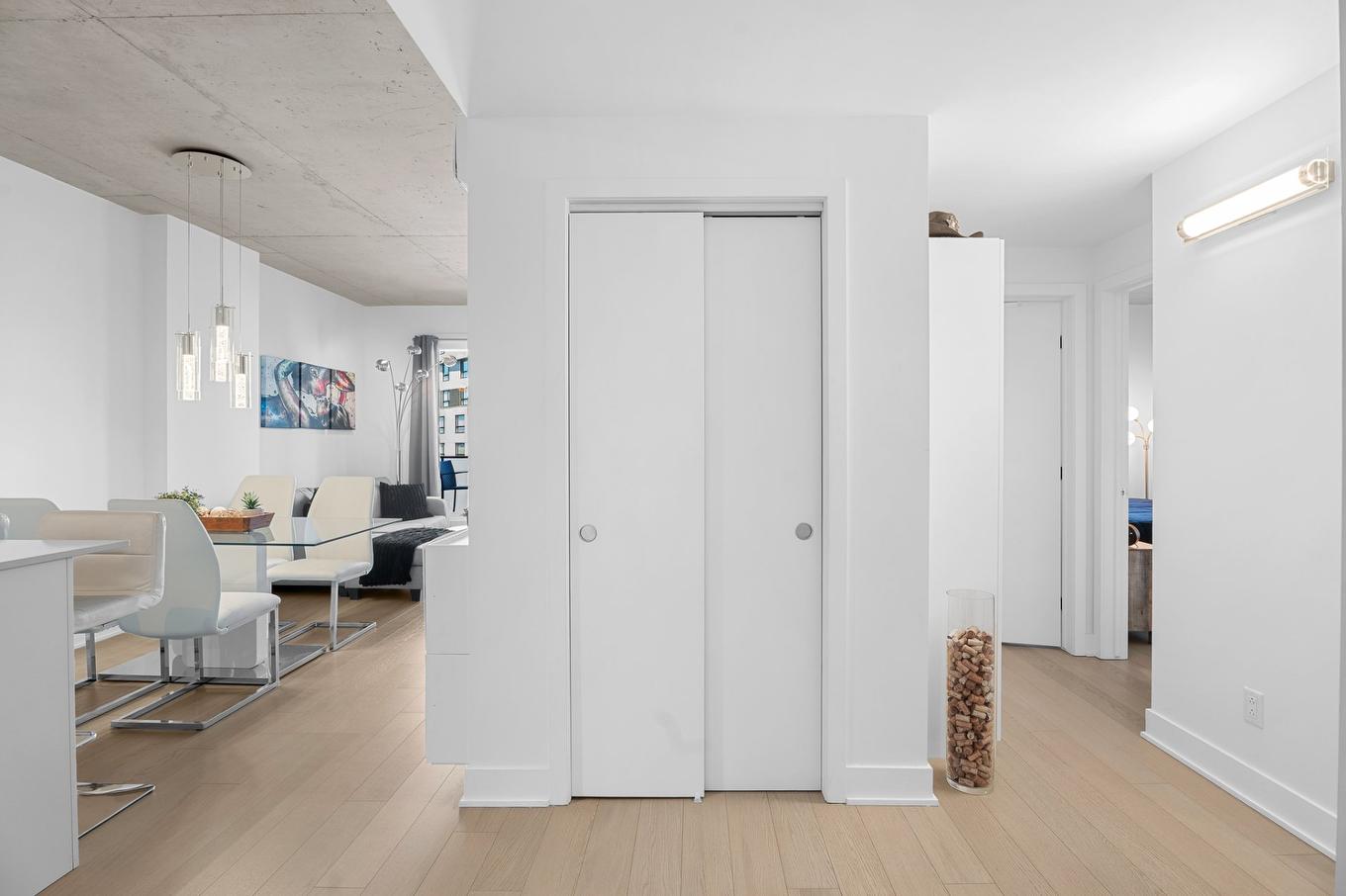 Hall d'entrée/Vestibule - 1008-1700 Rue Viola-Desmond, Montréal (Lasalle), QC - Indoor Photo Showing Other Room