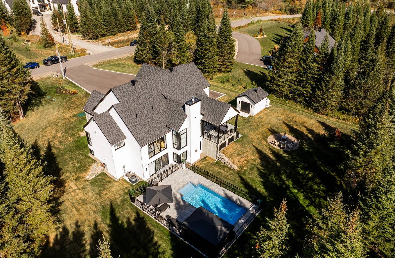 Backyard - 1124 Ch. Du Massif, Piedmont, QC - Outdoor With View