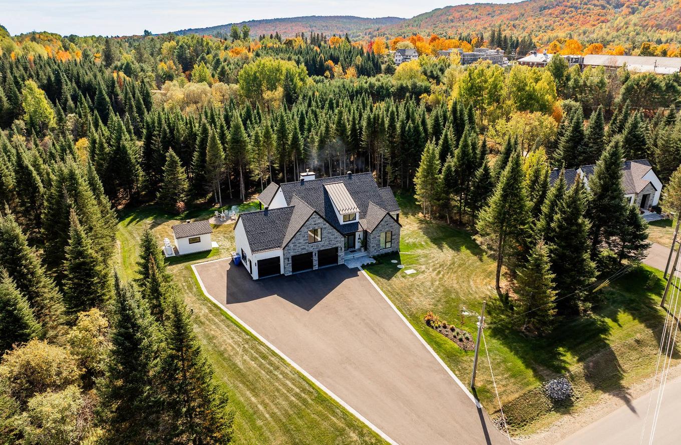 Overall view - 1124 Ch. Du Massif, Piedmont, QC - Outdoor With View