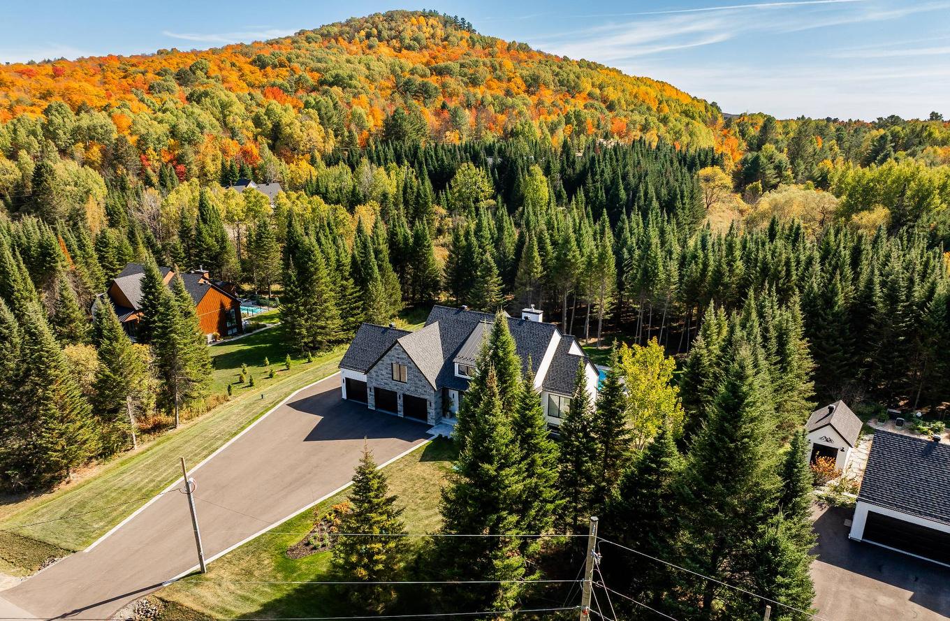 Overall view - 1124 Ch. Du Massif, Piedmont, QC - Outdoor With View