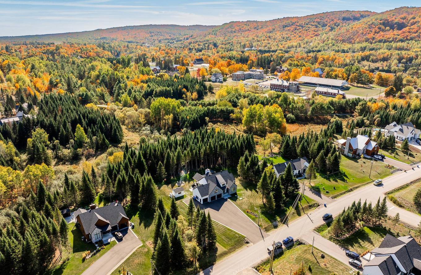 Overall view - 1124 Ch. Du Massif, Piedmont, QC - Outdoor With View