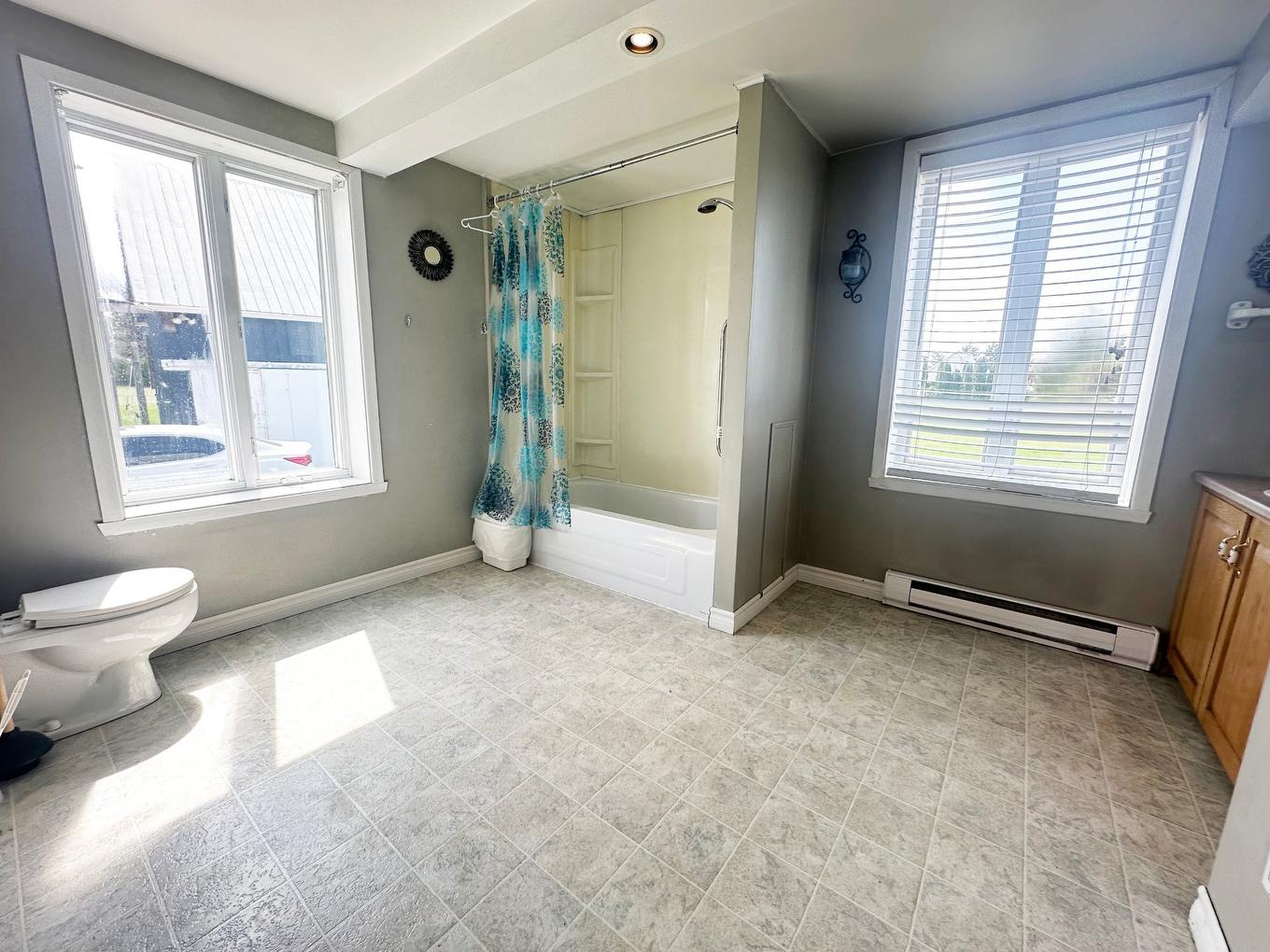 Bathroom - 1247 2E Rang, Saint-Roch-Des-Aulnaies, QC - Indoor