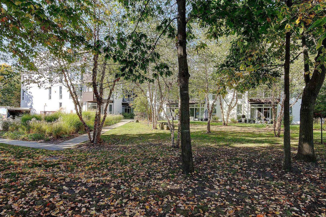 Overall view - 405-2120 Rue Du Colisée, Longueuil (Le Vieux-Longueuil), QC - Outdoor