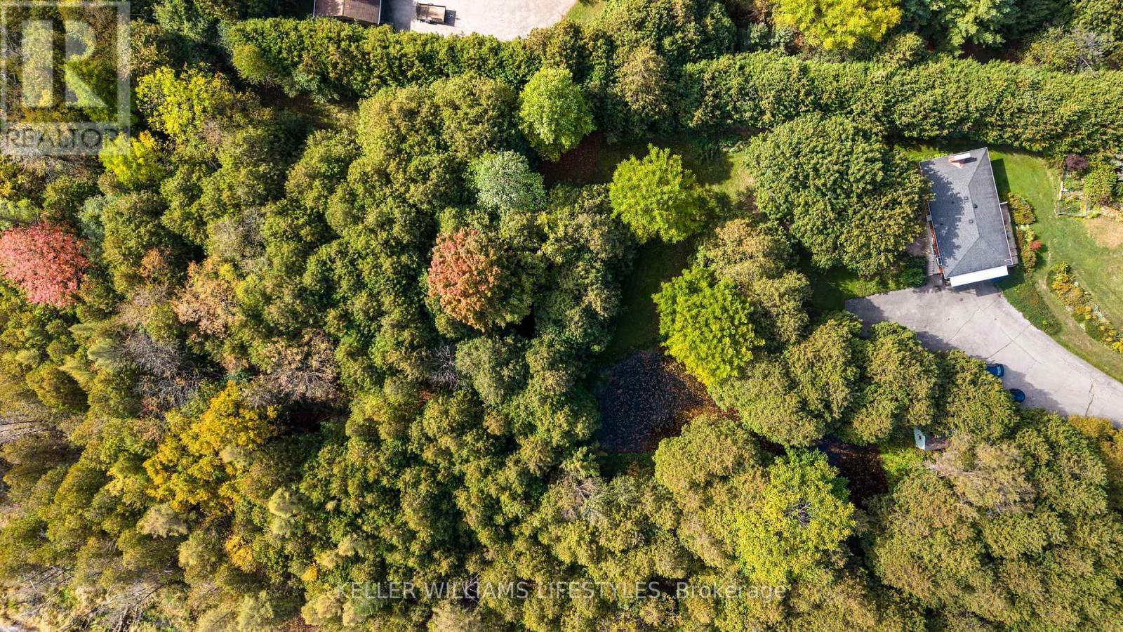 15083 Medway Road, Middlesex Centre, ON - Outdoor With View