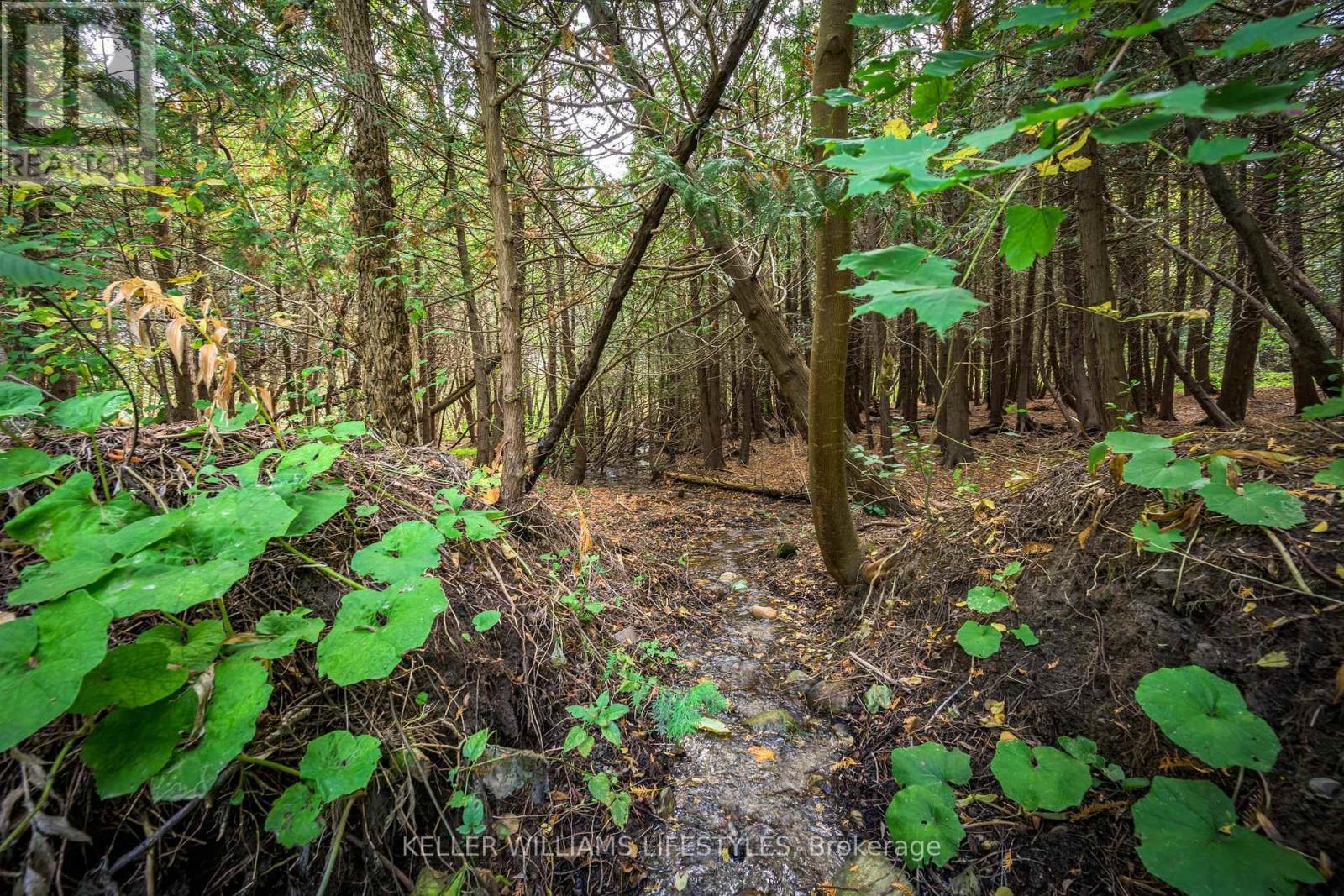 15083 Medway Road, Middlesex Centre, ON - Outdoor