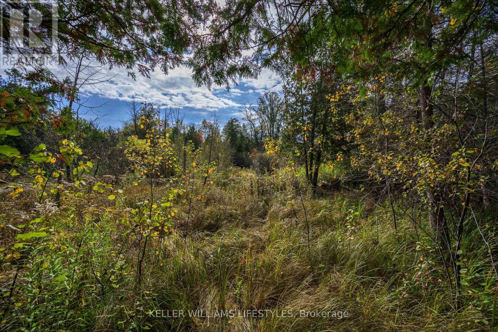 15083 Medway Road, Middlesex Centre, ON - Outdoor With View