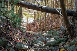 Community Path to Dock and Lake access -