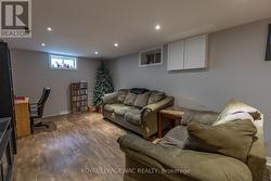 Lower level family room -