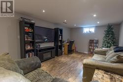 Lower level family room -