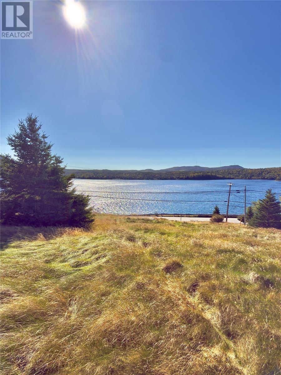 0 Main Road, Sunnyside, NL