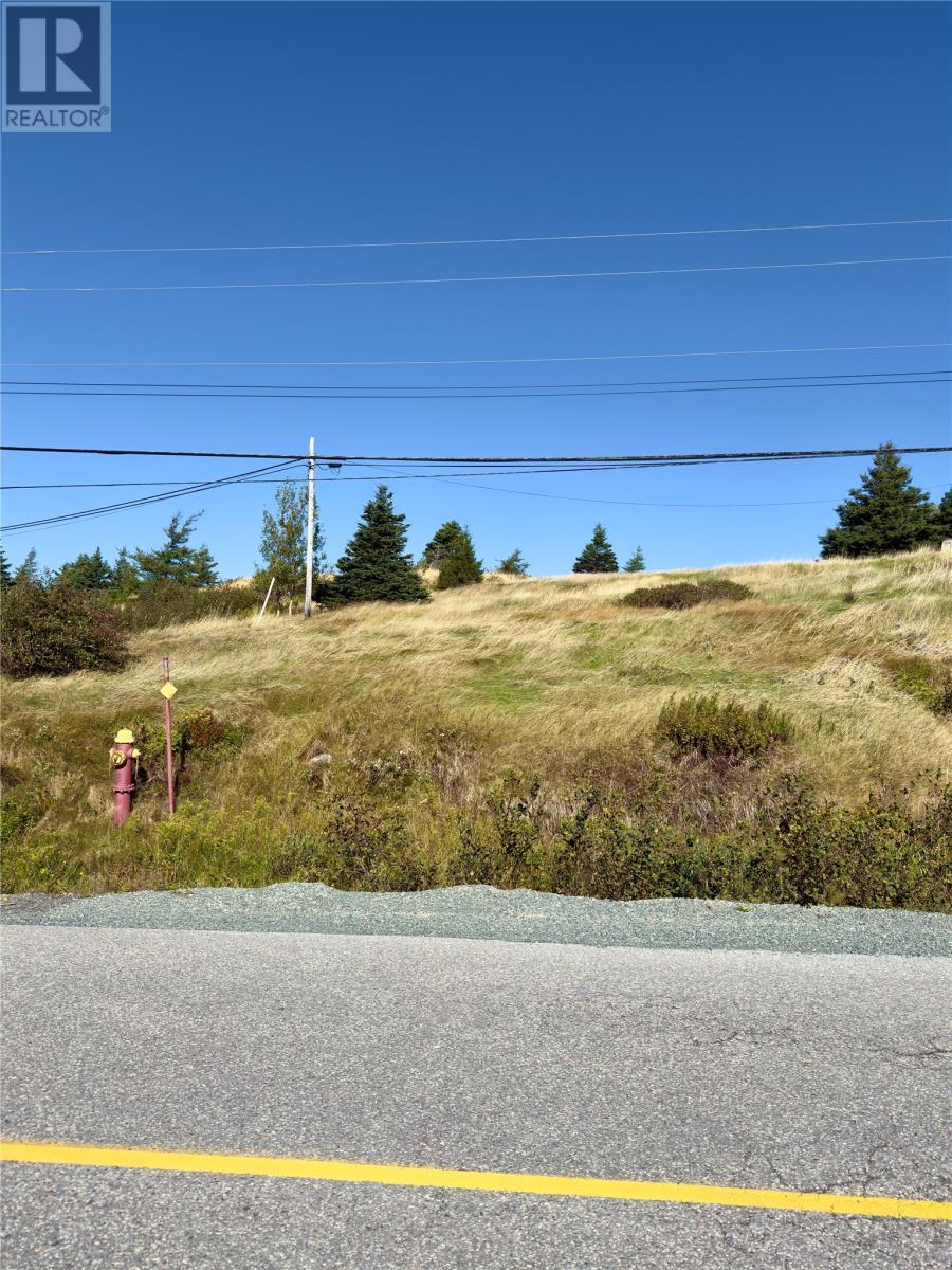 0 Main Road, Sunnyside, NL