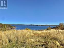 148 GOOSE BAY Drive Musgravetown, NL A0C 1A0