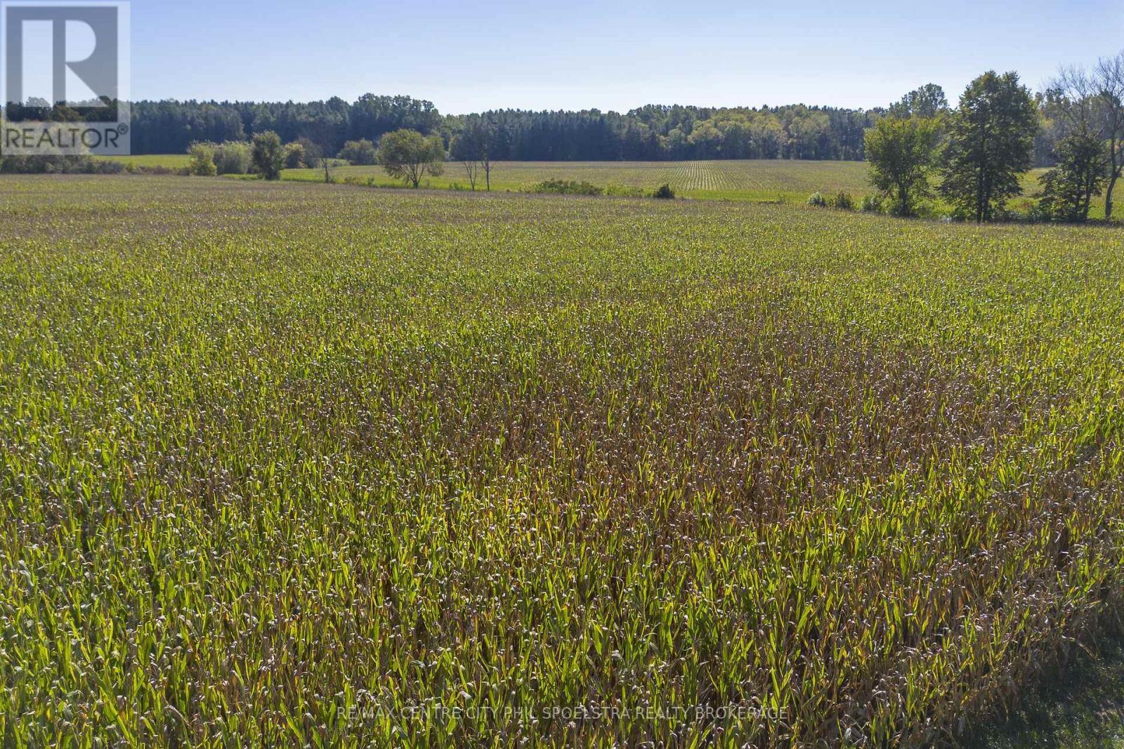 1198 Coltsfoot Drive, Newbury, ON