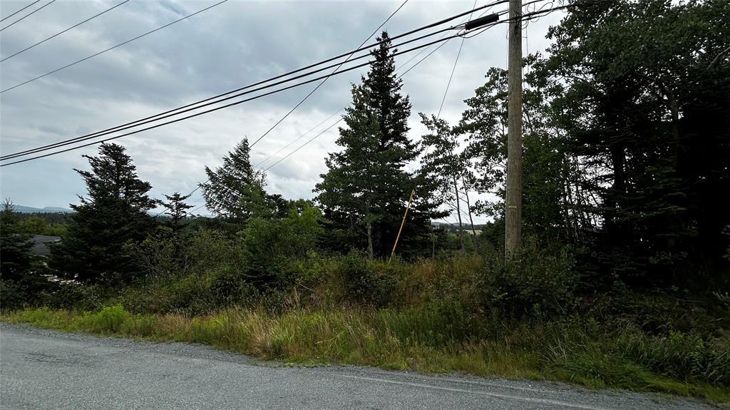 177 Bauline Line, Torbay, NL