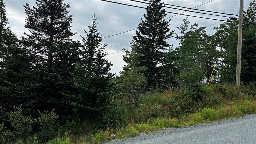 177 Bauline Line, Torbay, NL