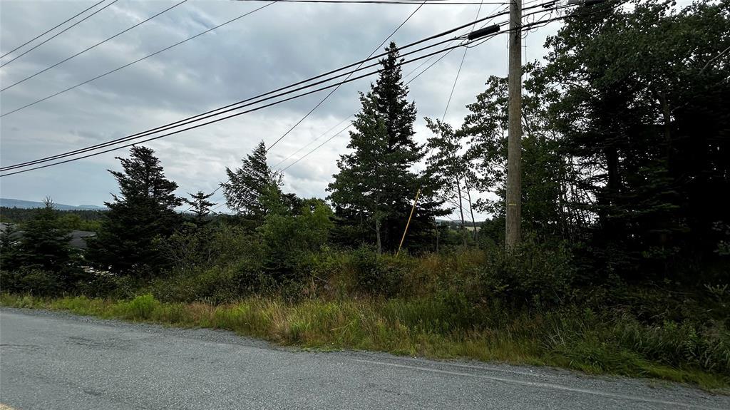 177 Bauline Line, Torbay, NL