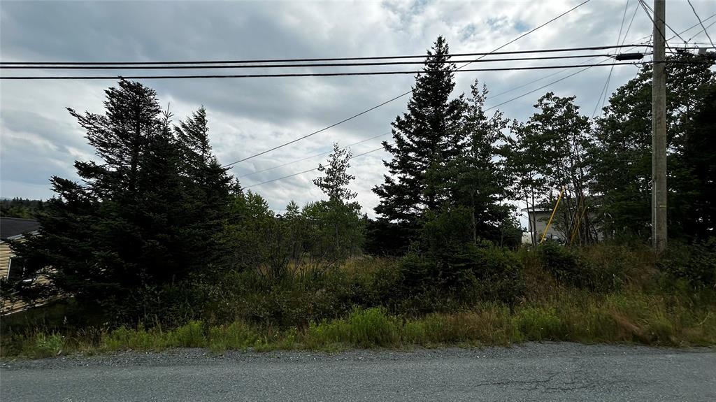 177 Bauline Line, Torbay, NL