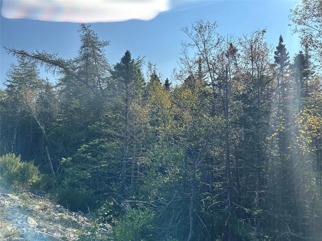 195 Conception Bay Highway, Georgetown, NL