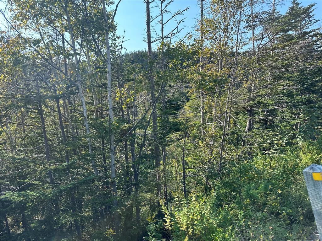 195 Conception Bay Highway, Georgetown, NL