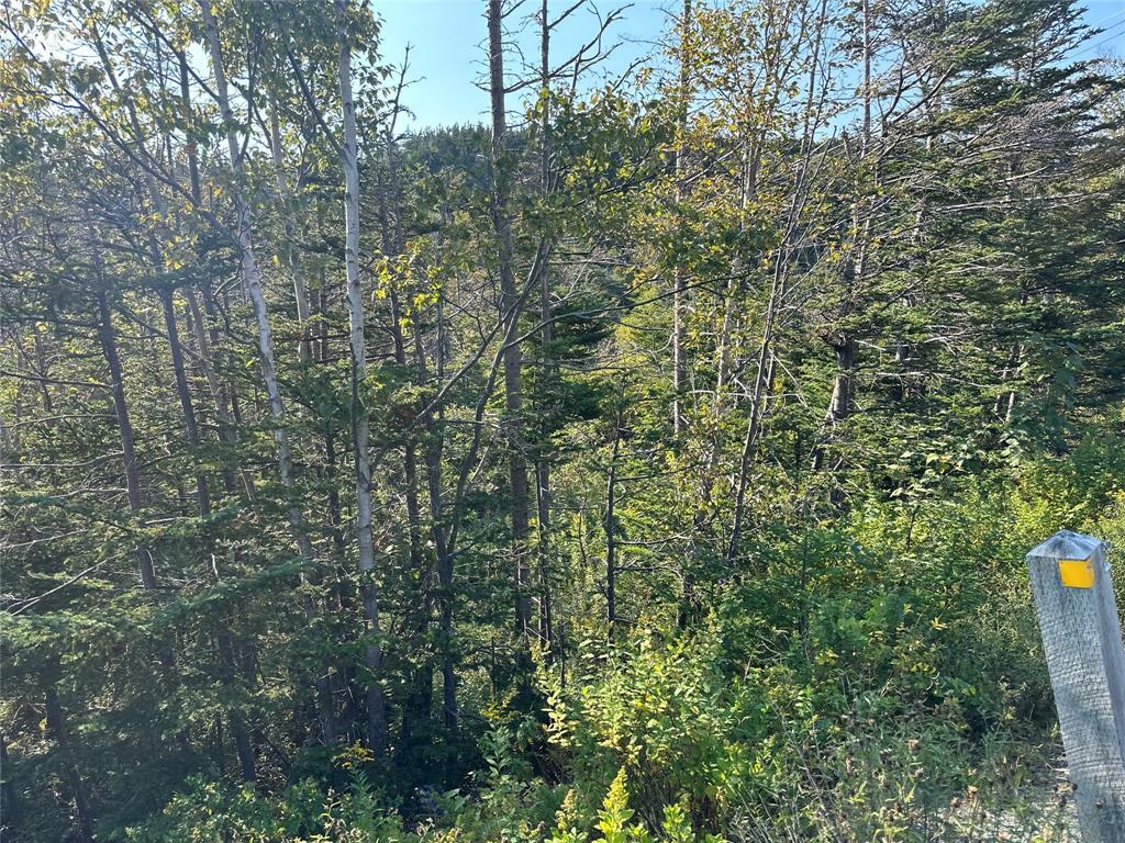 195 Conception Bay Highway, Georgetown, NL
