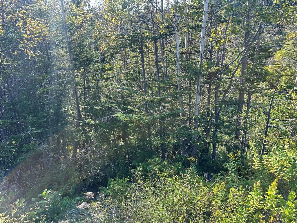 195 Conception Bay Highway, Georgetown, NL