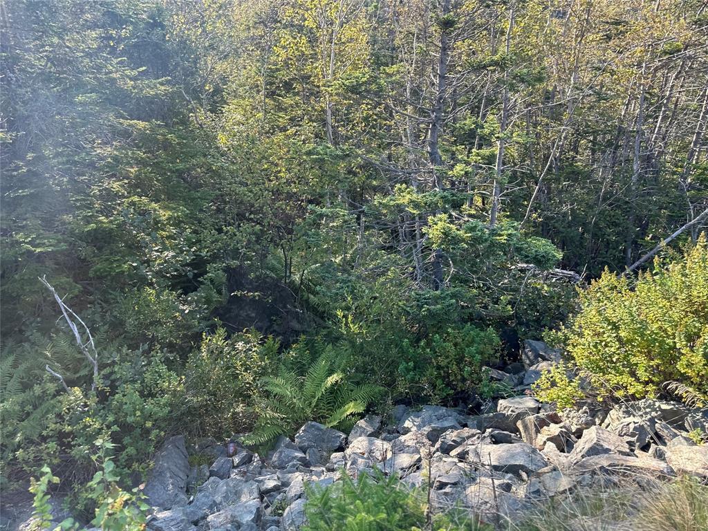 195 Conception Bay Highway, Georgetown, NL