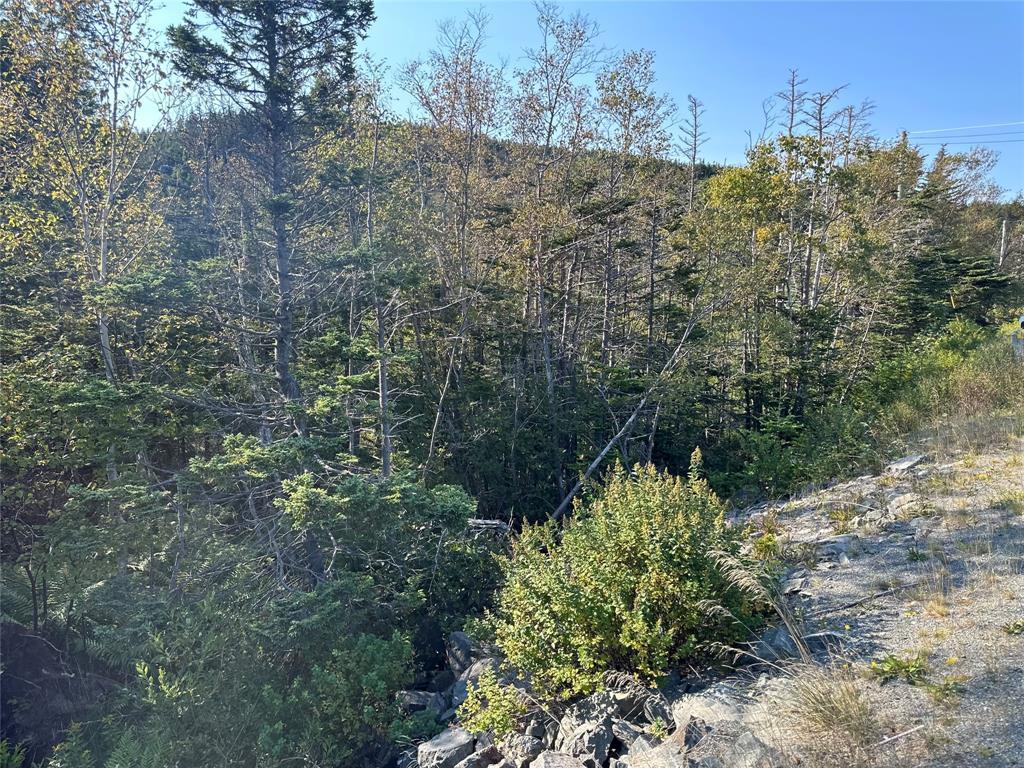 195 Conception Bay Highway, Georgetown, NL