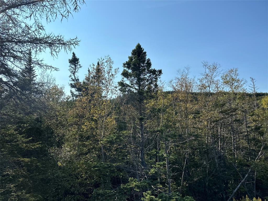 195 Conception Bay Highway, Georgetown, NL