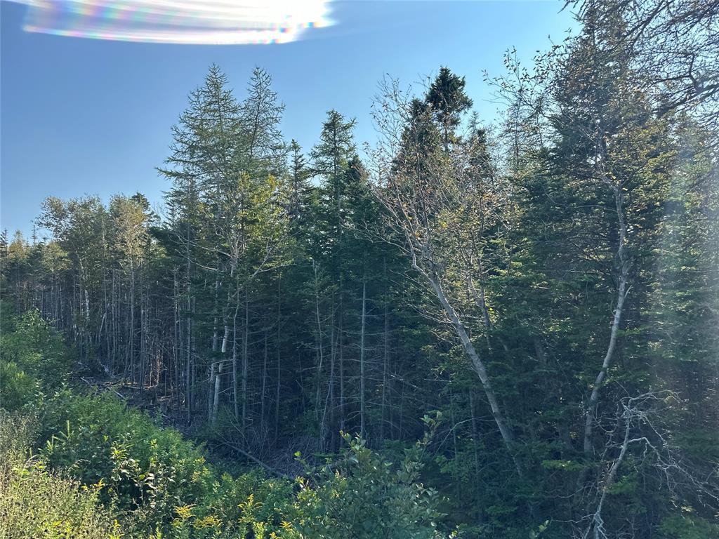 195 Conception Bay Highway, Georgetown, NL
