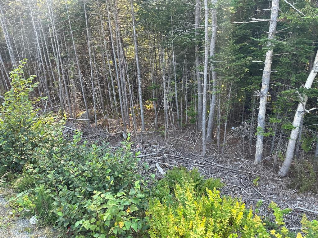 195 Conception Bay Highway, Georgetown, NL