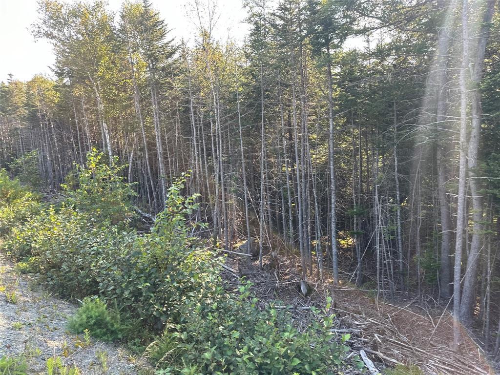 195 Conception Bay Highway, Georgetown, NL