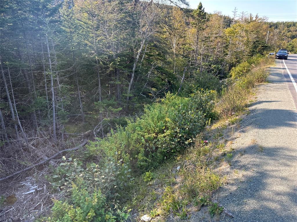195 Conception Bay Highway, Georgetown, NL