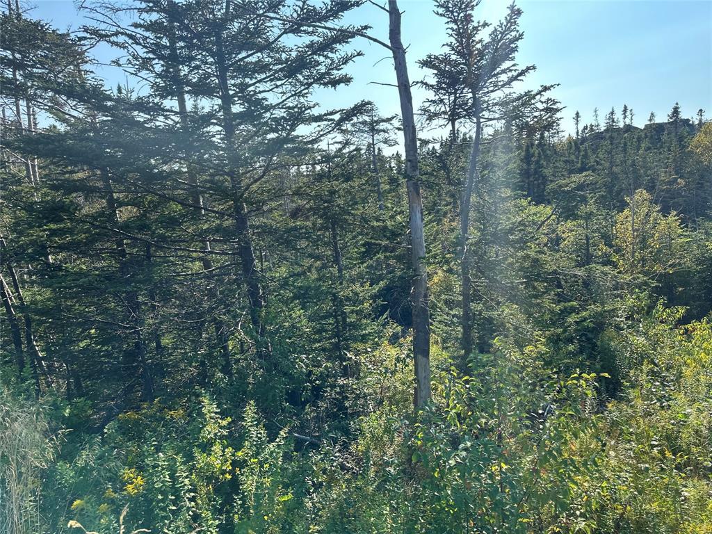 195 Conception Bay Highway, Georgetown, NL